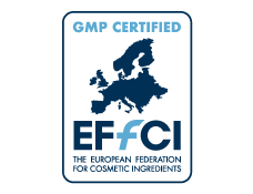 EFfCI Logo